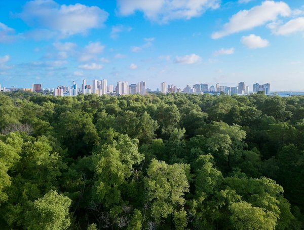 Évaluation des Alternatives à l'Incarcération : Quel Impact en France ?