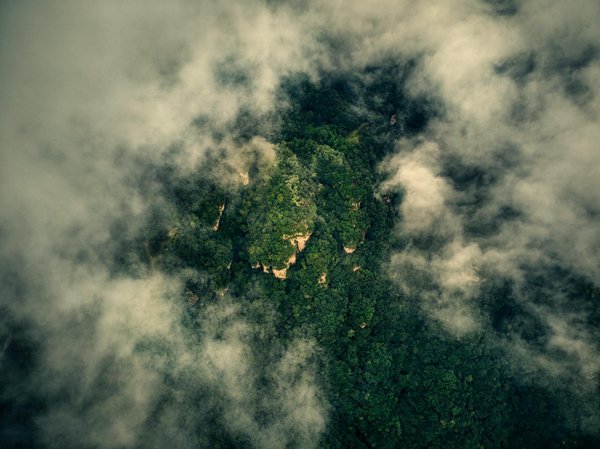 Optimisez vos déplacements avec un logiciel d'ordre de mission