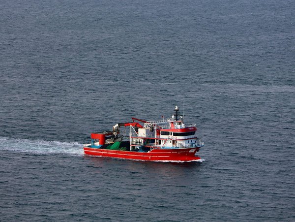 Les secrets des activités nautiques : bateaux et pêche à découvrir